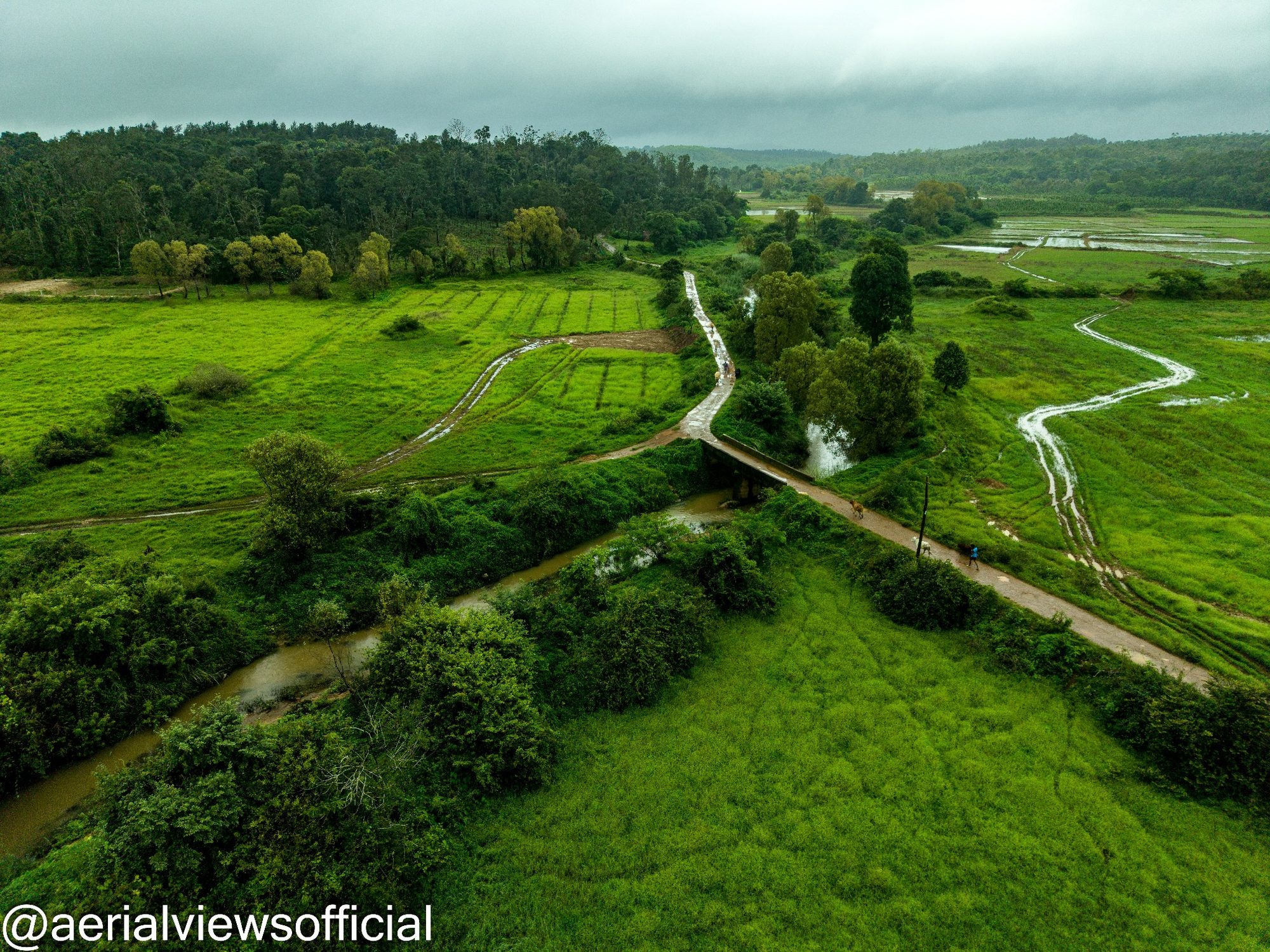 Aerial view of green fields and waterways